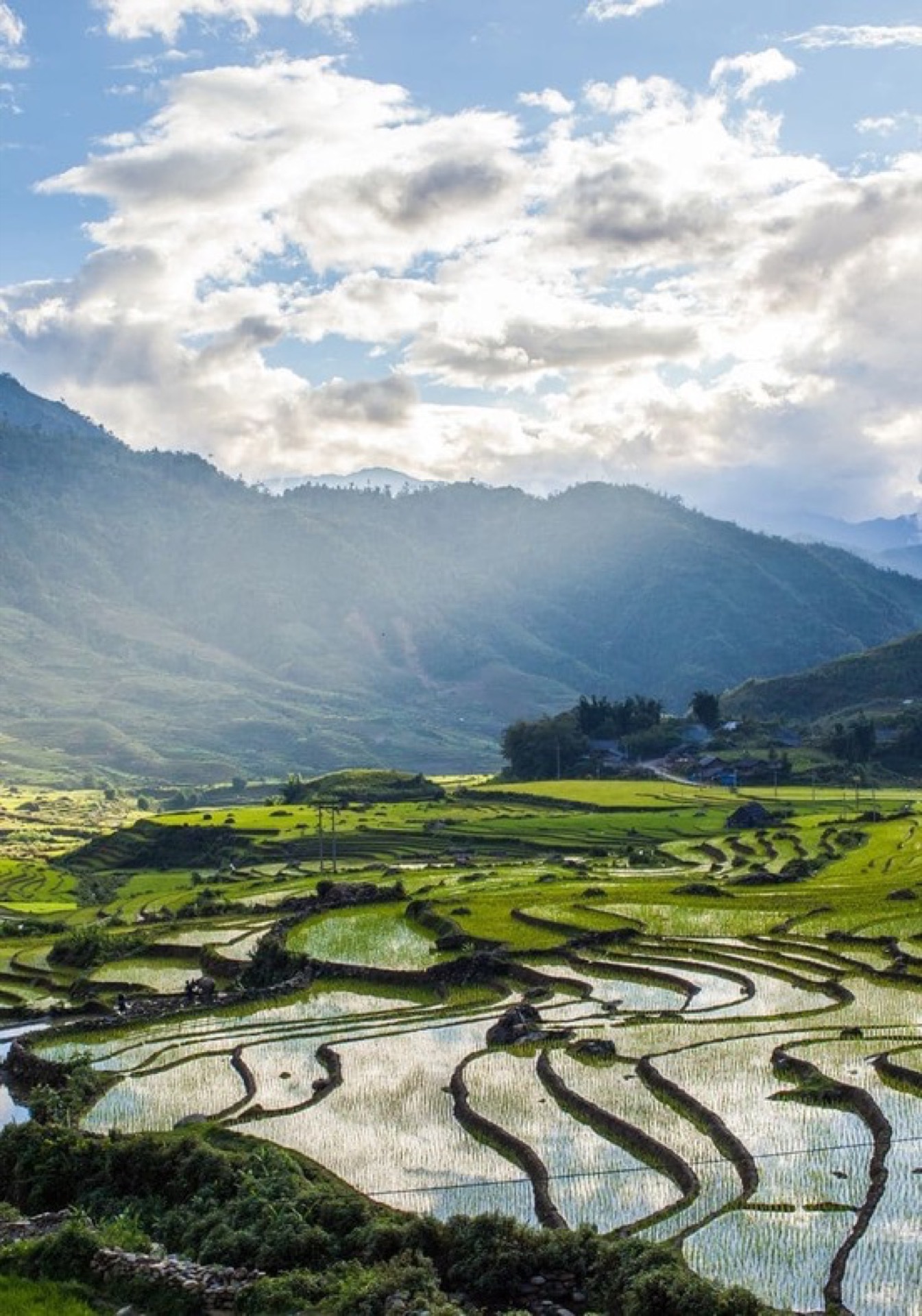 Sapa: Entre Arrozales